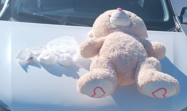 Uşak'ta oyuncak ayı içinde kokain çıktı