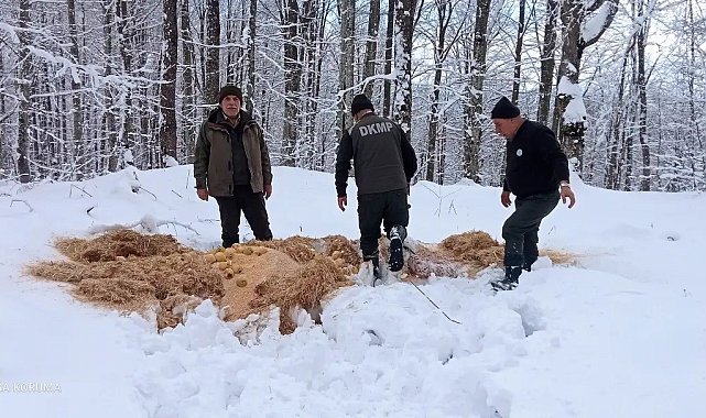 Yaban hayvanları için doğaya yem bırakıldı