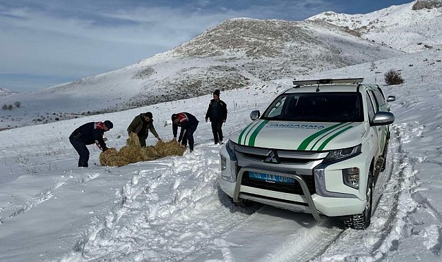 Yaban hayvanları için doğaya yem bırakıldı
