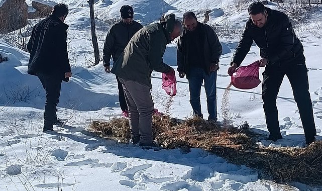 Yaban hayvanları unutulmadı