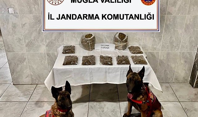 Yatağanda uyuşturucu operasyonu: 1 gözaltı