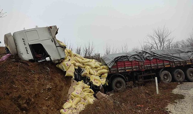 Yem yüklü tır yoldan çıktı: 2 yaralı