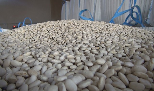 Yeni araştırma: Kolon ve makat kanseri riskini yüzde 35 düşürüyor