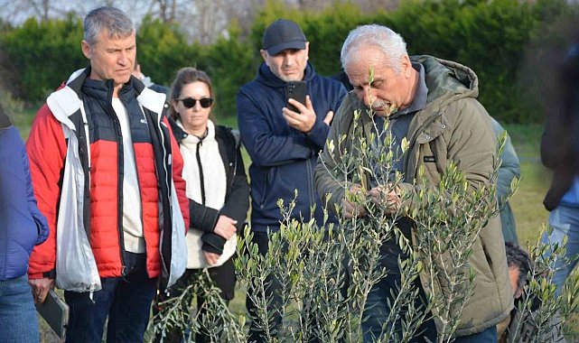 Zeytin yetiştiriciliği kursuna büyük ilgi