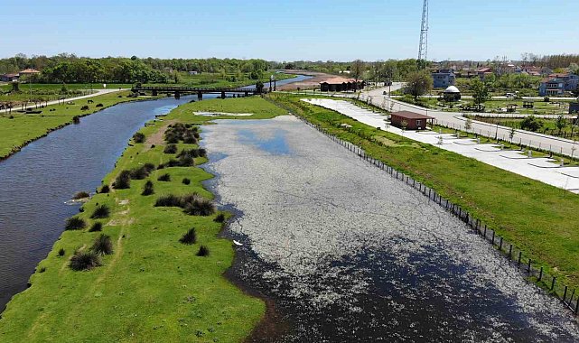 'Samsun Turizm Master Planı'nın detayları belli oldu