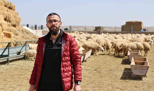 42 bin lira maaş, sigorta, dayalı döşeli ev ve karavana rağmen çoban bulunamıyor