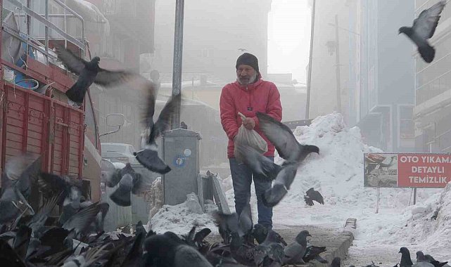 Aç kalan güvercinleri esnaf besliyor