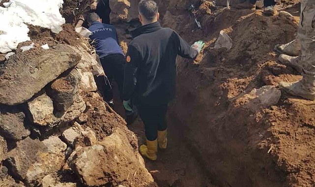 Ağrı'da hayvanlar çöken çatının altında kaldı