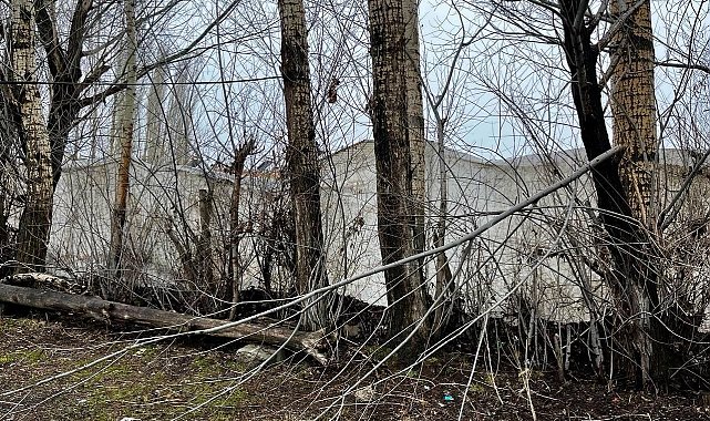 Ağrı&#039;da kar fırtınası etkili oldu