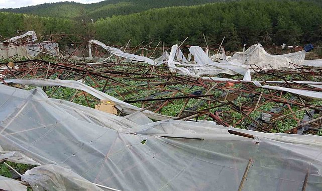 Alanya'da hortum 250 dönümden fazla seraya zarar verdi