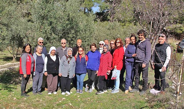 Almanlar ve İngilizler zeytin budamayı öğrendi