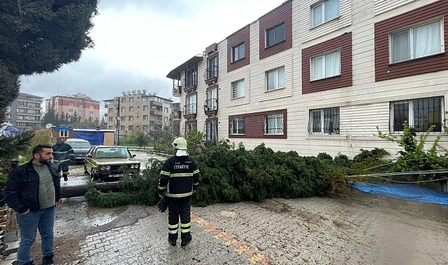 Antakya'da kuvvetli fırtına ağacı yola devirdi