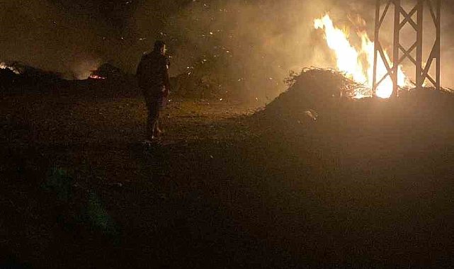 Arsuz'da çöplük alanda yangın çıktı
