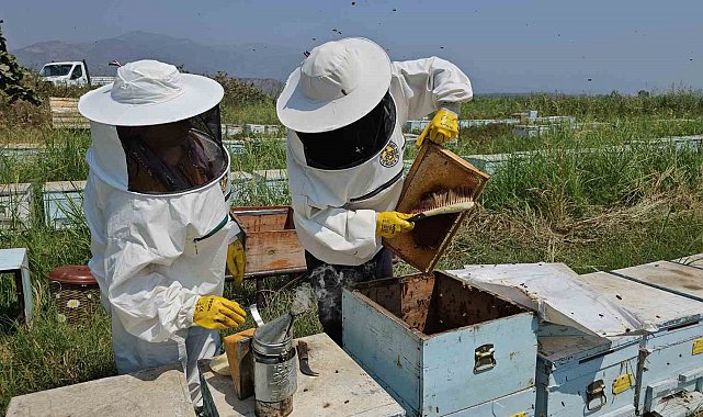 Aydın'da bin 498 arıcıya 14 milyon TL'lik destek