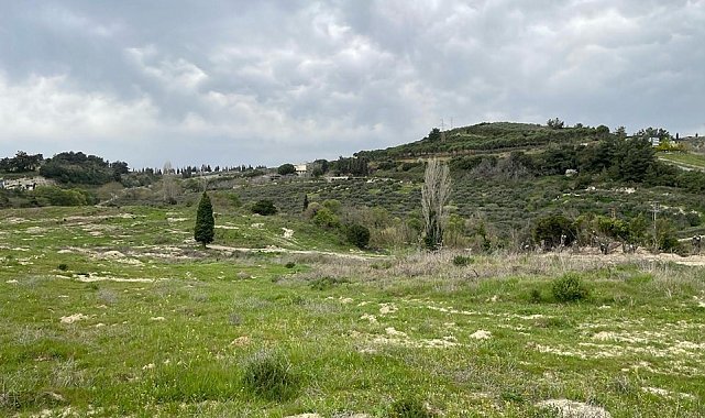 Aydın'da işlenmeyen tarım arazileri üretime kazandırılacak