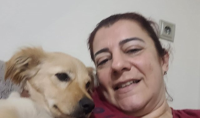 Aydın'daki köpek eğitmeni mağdurlarının sayısı artmaya başladı