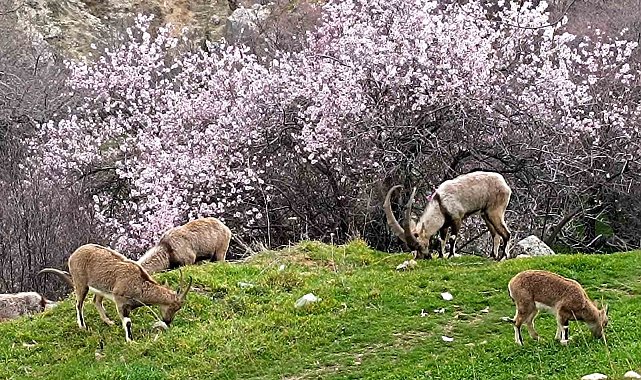Aynı il iki farklı mevsim