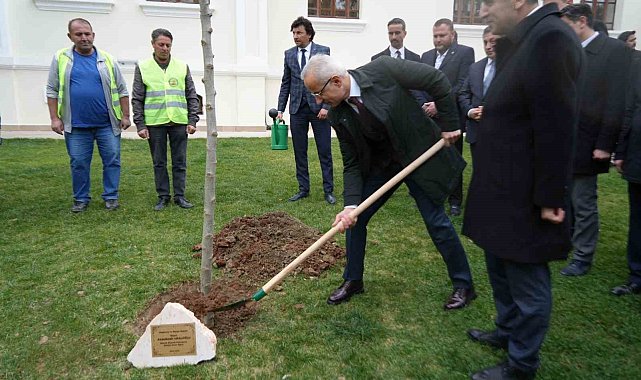 Bakan Uraloğlu Bilecik'te çınar fidanı dikti