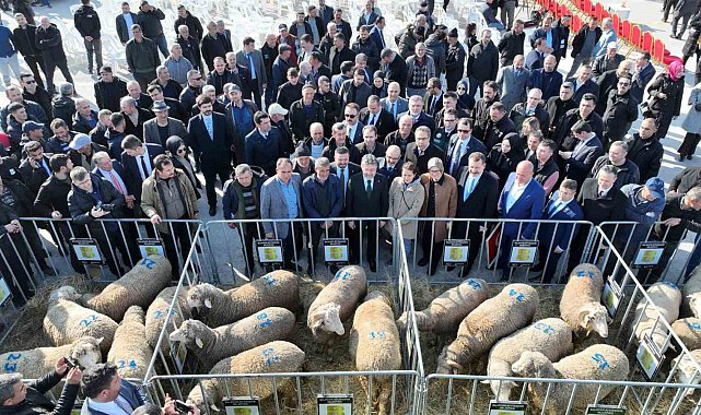 Bakan Yumaklı: "Balıkesir'in potansiyeli, bizim bu zamana kadar tahayyül ettiklerimizin daha ötesinde"