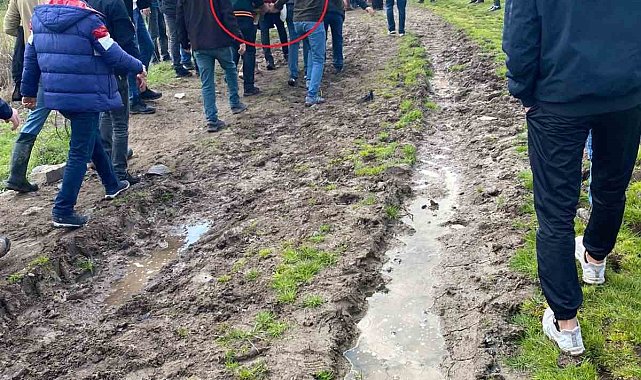 Balık tutarken Dicle Nehri'ne düşen yaşlı adamı AFAD kurtardı