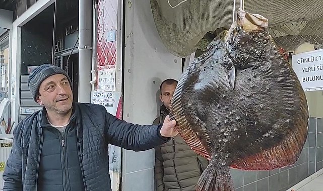 Balıkçı ağına takılan 7 kg ağırlığındaki kalkan balığı 7 bin TL'den anında alıcı bulundu