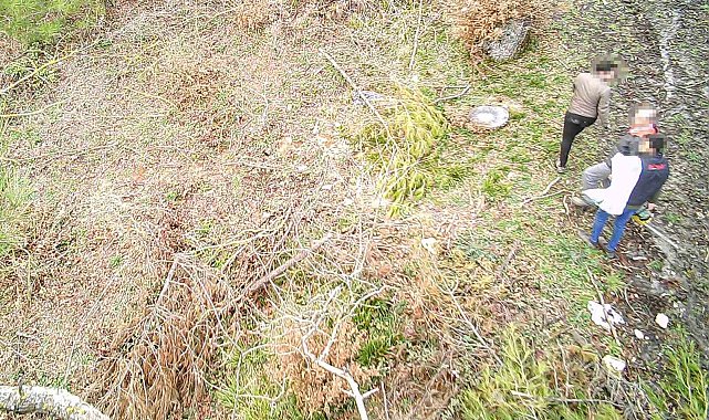 Balıkesir ormanları foto kapanlarla korunuyor