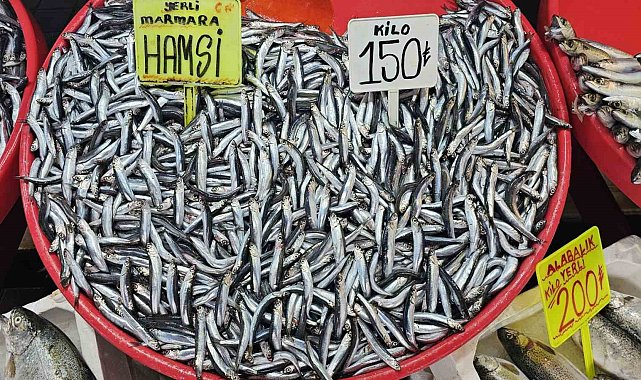 Bandırma'da hamsinin fiyatı düştü