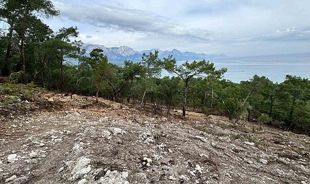 Başkan Topaloğlu: "Doğamızın katledilmesine seyirci kalmayacağız"