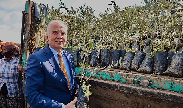 Başkan Zolan: "Zeytinlerimiz 600 yıl boyunca ürün verecek"