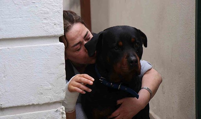 Beslediği köpeğin aynı cinsi tarafından sokakta saldırıya uğradı, dehşet anlarını böyle anlattı