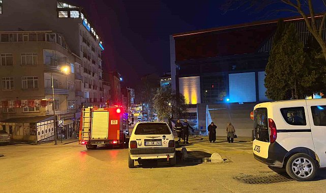 Bilecik'te çocuklar palmiye ağacını yaktı