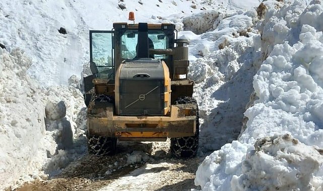 Bitlis'te bütün köy yolları açıldı