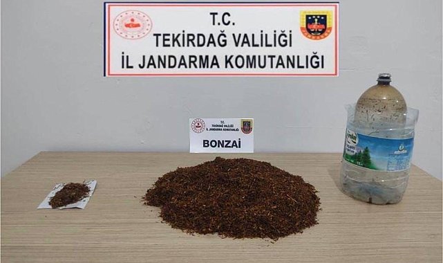 Bonzai, esrar ve tabancalar ele geçirildi