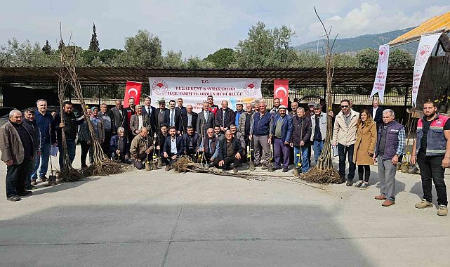 Buharkentli üreticiye kestane ve incir fidanı desteği