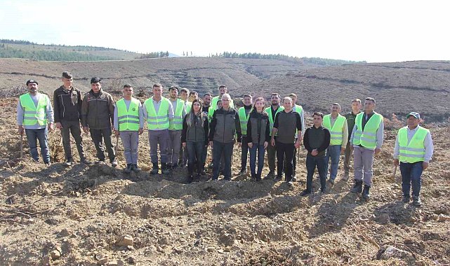 Büyük yangının simsiyah izleri silindi, 8 ayda 1 milyon 651 bin fidan dikildi