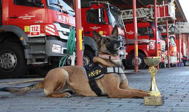 Büyükşehir'in arama kurtarma köpeği ödül aldı