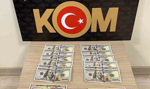 Çanakkale'de 7 düzensiz göçmen yakalandı