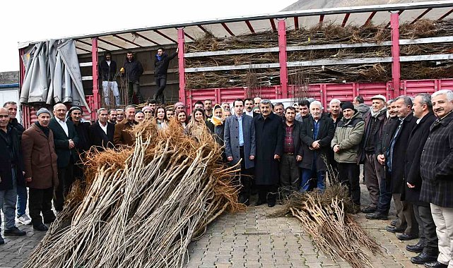 Çatak'ta fidan dağıtım