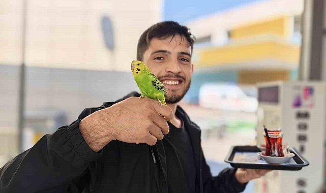 Çay servisi İbiş'ten