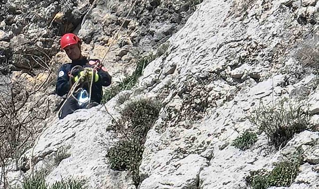 Dağda mahsur kalan keçi itfaiye ve AKOM ekipleri tarafından kurtarıldı
