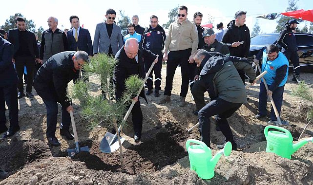 Denizli'de 14 lokasyonda 6 bin 100 adet fidan toprakla buluştu