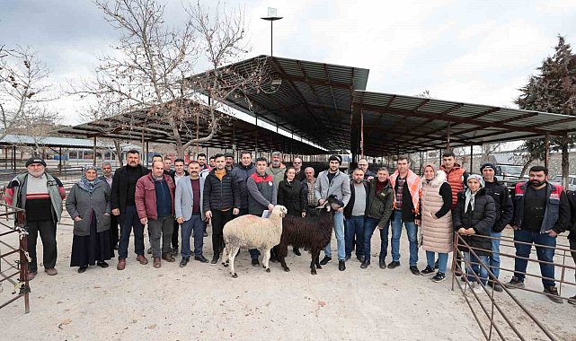 Denizli'de 321 çiftçiye 600 adet damızlık koç ve teke hibe desteği başladı