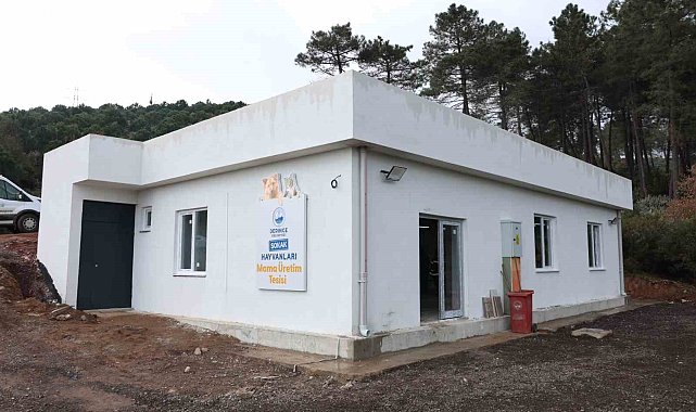 Derince'de kedi ve köpek mamalarını artık belediye üretecek