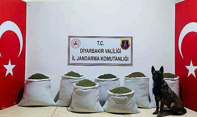 Diyarbakır'da 129 kilo toz esrar ele geçirildi