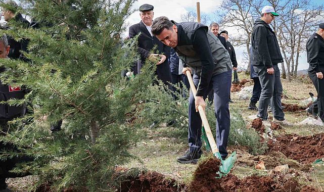 Doğanın akciğeri olan ağaç fidanları toprakla buluştu
