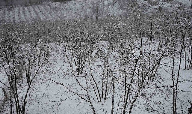 Dün güneşli havanın tadını çıkarıyorlardı, bugün kara uyandılar