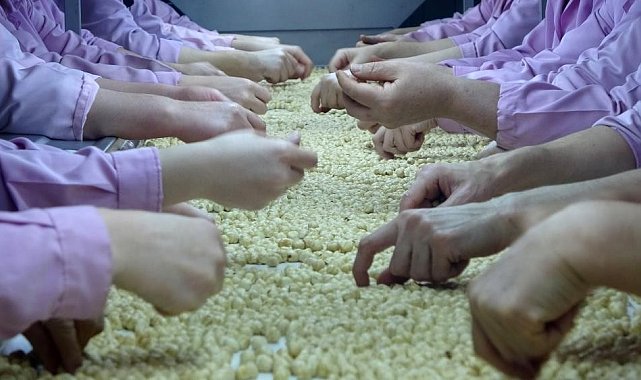 Düzce'den AB ülkelerine 2 bin 835 ton fındık ihraç edildi