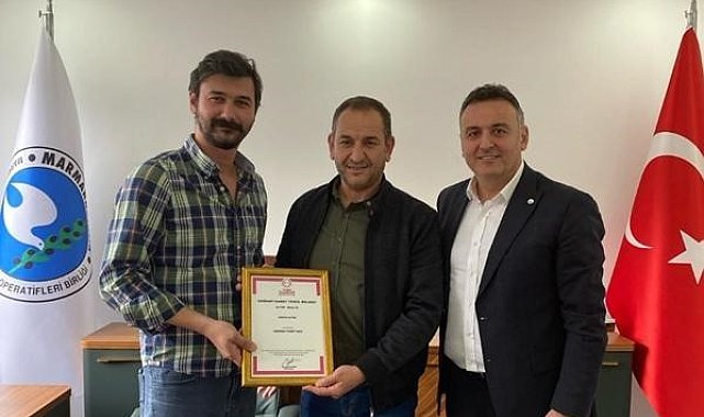 Edincik zeytini coğrafi işaret aldı