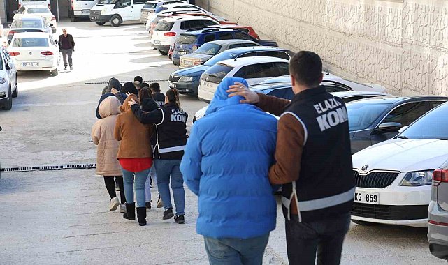 Elazığ'daki Cımbız-2 Operasyonu'nda 6 tutuklama
