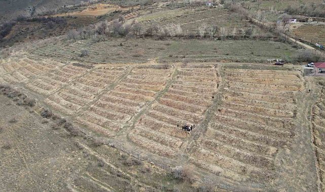 Erzincan'da çiftçilere tarla okulu eğitimi verildi